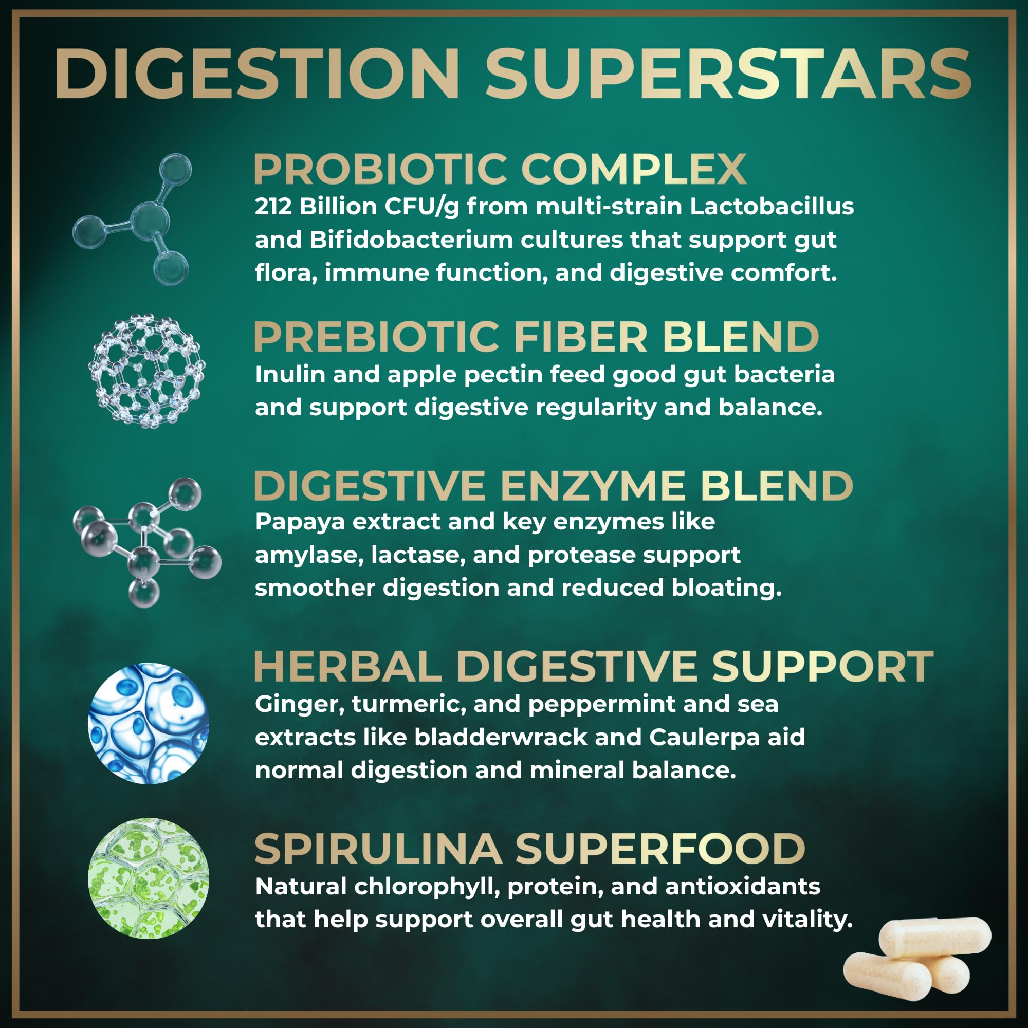 WILD FUEL Probiotics daily Enzymes ingredients list
