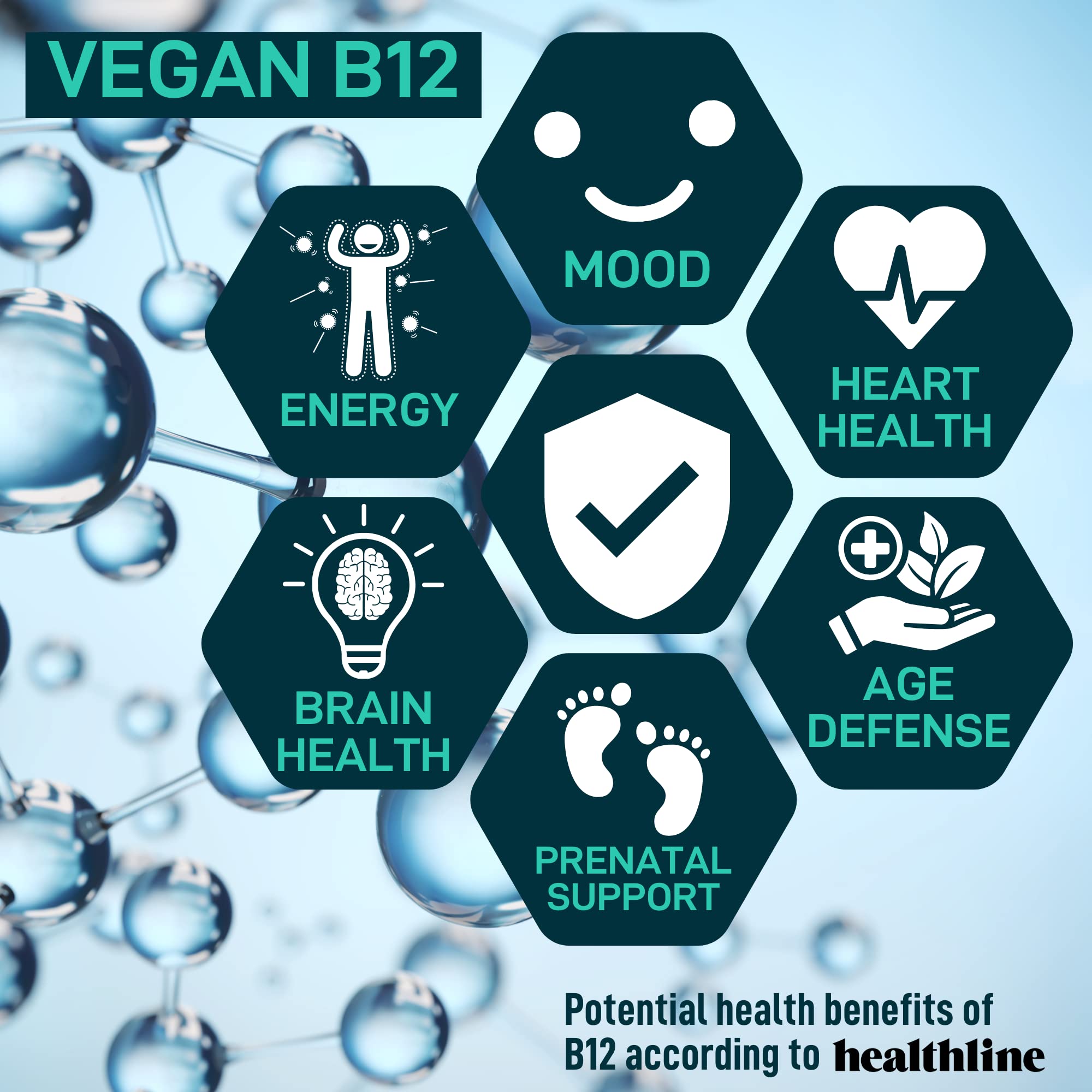 WILD FUEL Vegan Probiotic Supplement bottle back view