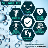 WILD FUEL Vegan Probiotic Supplement bottle back view