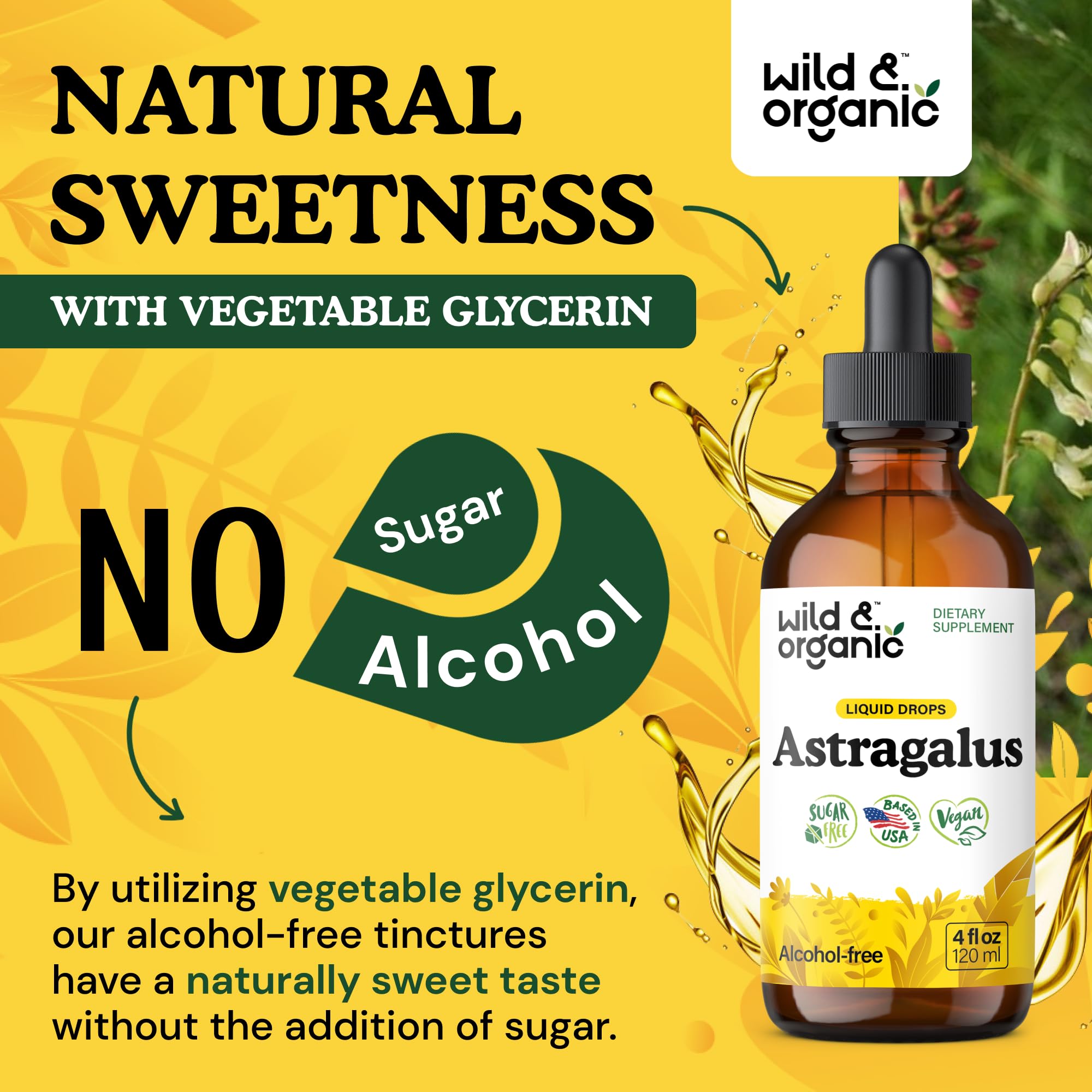 Wild & Organic Astragalus Tincture lifestyle scene