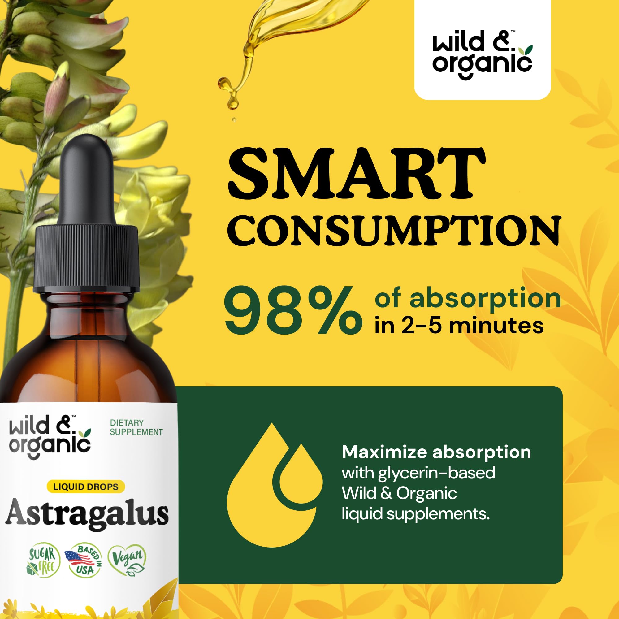 Wild & Organic Astragalus Tincture with natural background