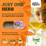 Wild & Organic Chicory Root Inulin Capsules with measuring spoon