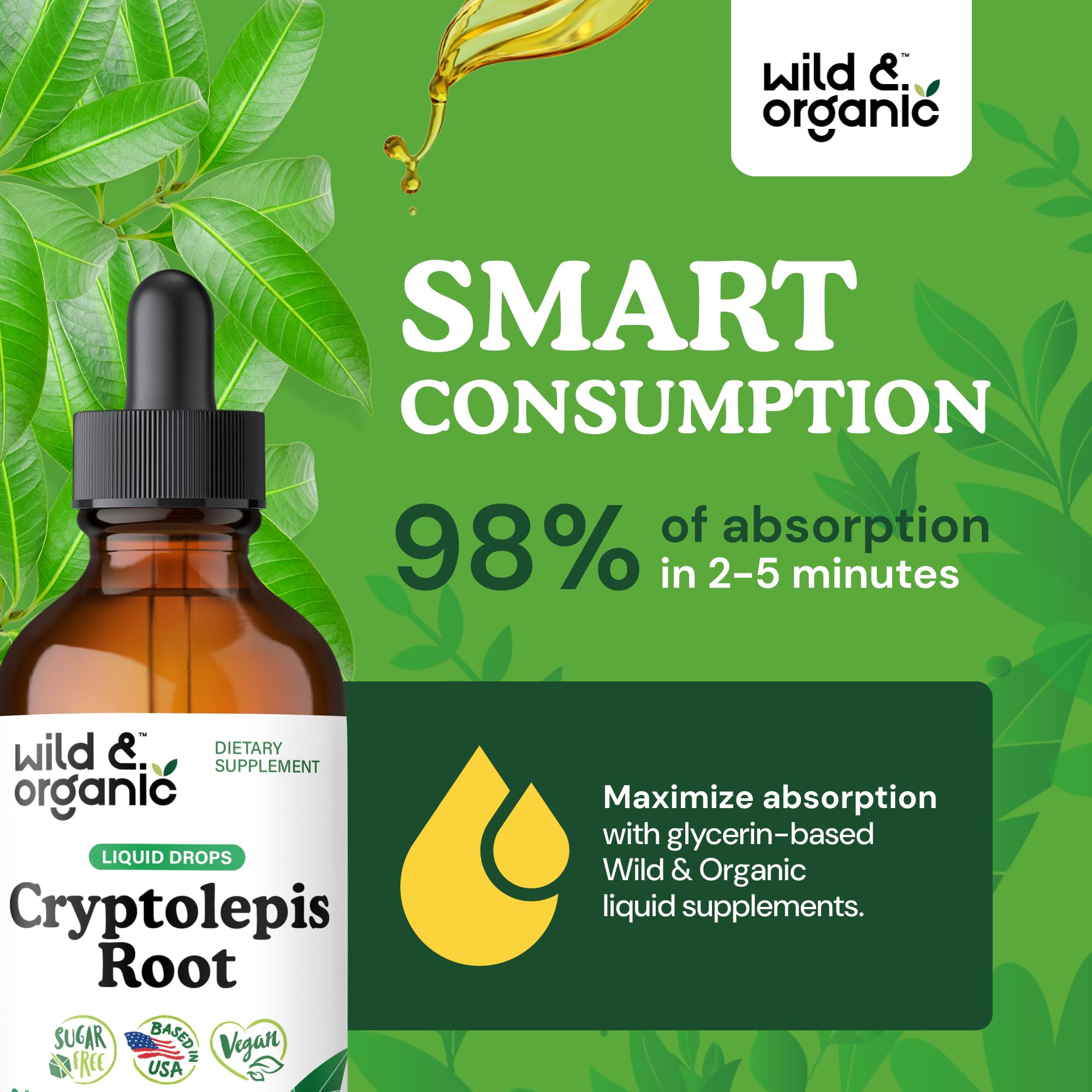 Wild & Organic Cryptolepis Tincture 500mg bottle with cap
