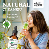 Wild & Organic Cryptolepis Tincture 500mg bottle with label