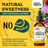 Wild & Organic Echinacea Goldenseal Tincture lifestyle shot