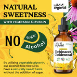 Wild & Organic Echinacea Goldenseal Tincture with fresh herbs
