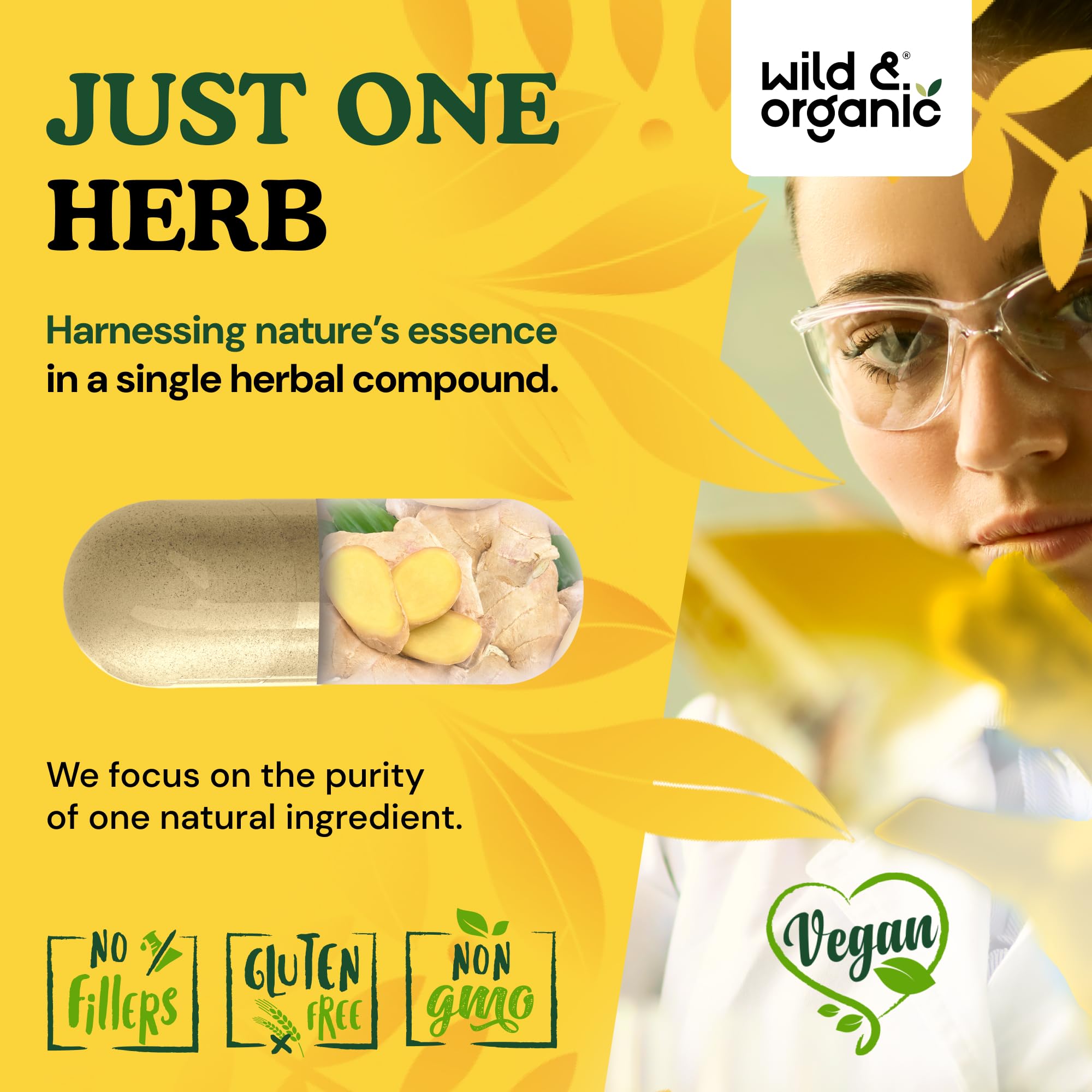 Wild & Organic Ginger Root Capsules 1200mg with ingredients list