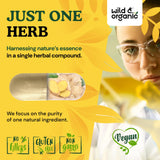 Wild & Organic Ginger Root Capsules 1200mg with ingredients list