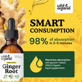 Wild & Organic Ginger Root Extract Drops alongside fresh ginger