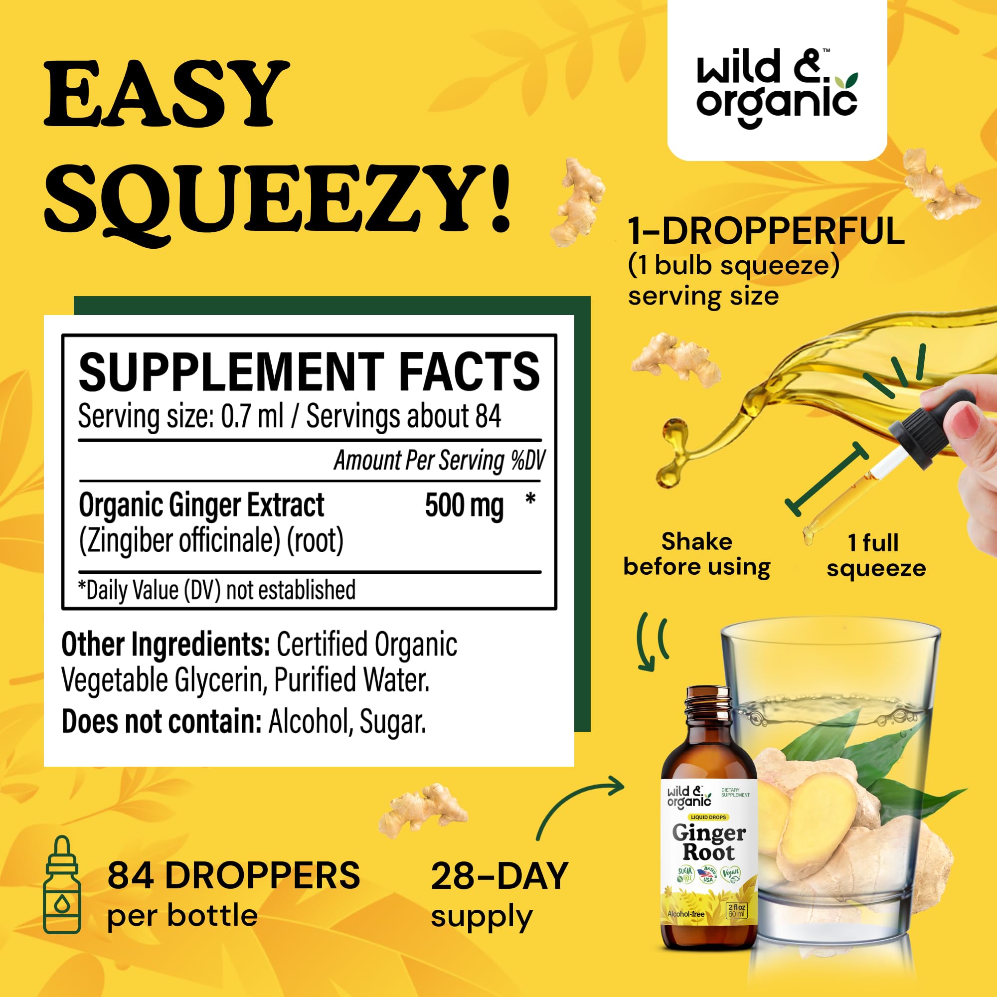 Wild & Organic Ginger Root Extract Drops showing dropper