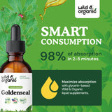 Wild & Organic Goldenseal Tincture 500mg dropper close-up