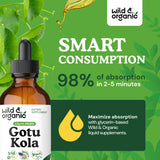 Wild & Organic Gotu Kola Tincture 500mg label close-up