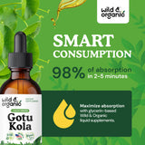 Wild & Organic Gotu Kola Tincture 500mg serving suggestion