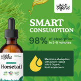 Wild & Organic Horsetail Liquid Extract with natural ingredients