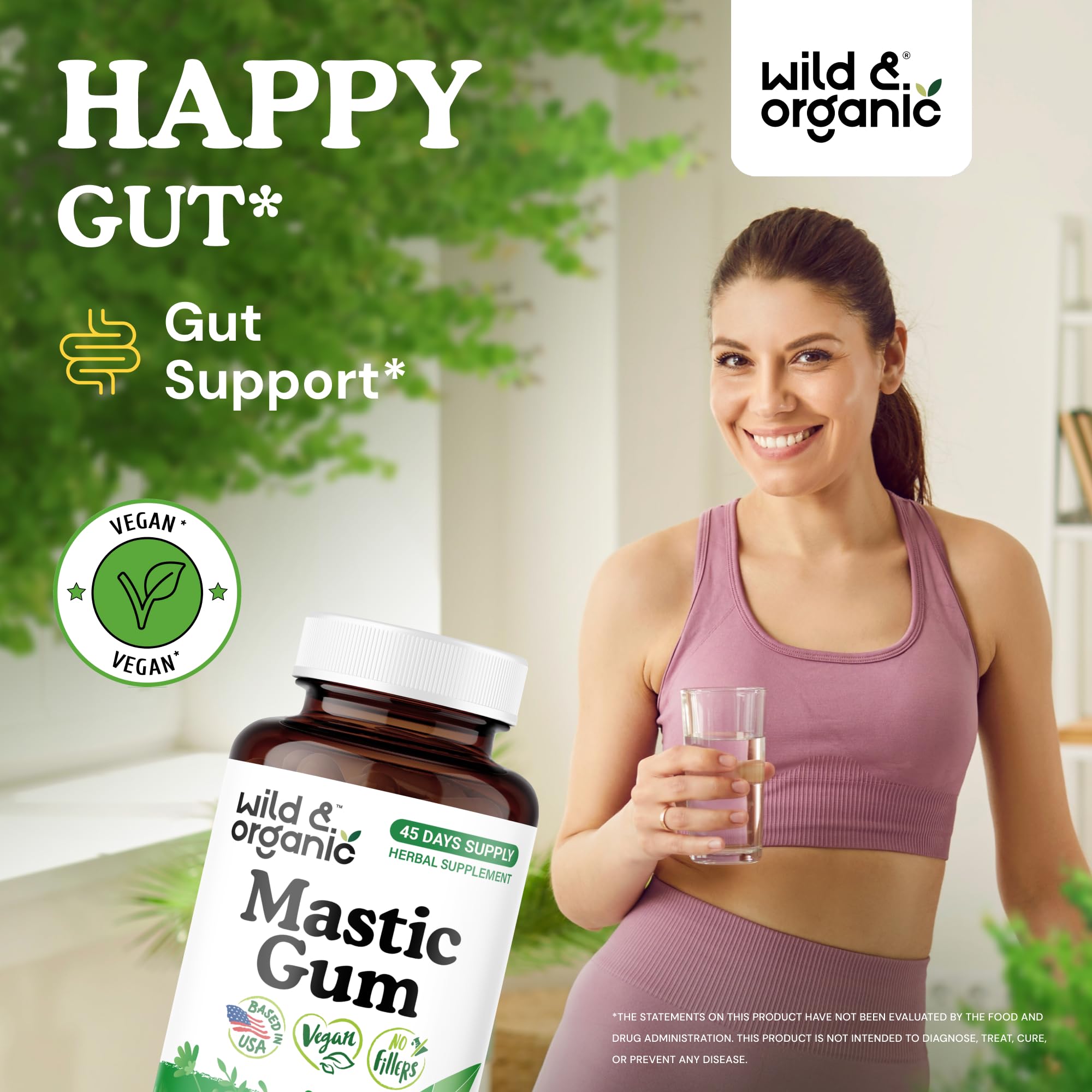 Wild & Organic Mastic Gum Capsules 90 count bottle