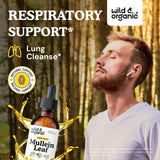 Wild & Organic Mullein Leaf Extract Tincture bottle with label