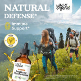 Wild & Organic Mushroom Tincture bottle with label