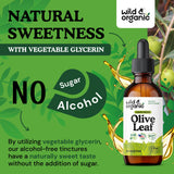 Wild & Organic Olive Leaf Extract Tincture 500mg in a glass