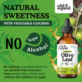 Wild & Organic Olive Leaf Tincture 500mg close-up of dropper