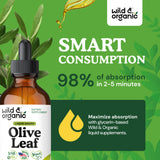 Wild & Organic Olive Leaf Tincture 500mg ingredients list