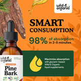 Wild & Organic Pine Bark Extract 360mg with dropper