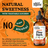 Wild & Organic Pine Bark Extract Tincture 360mg on wooden table