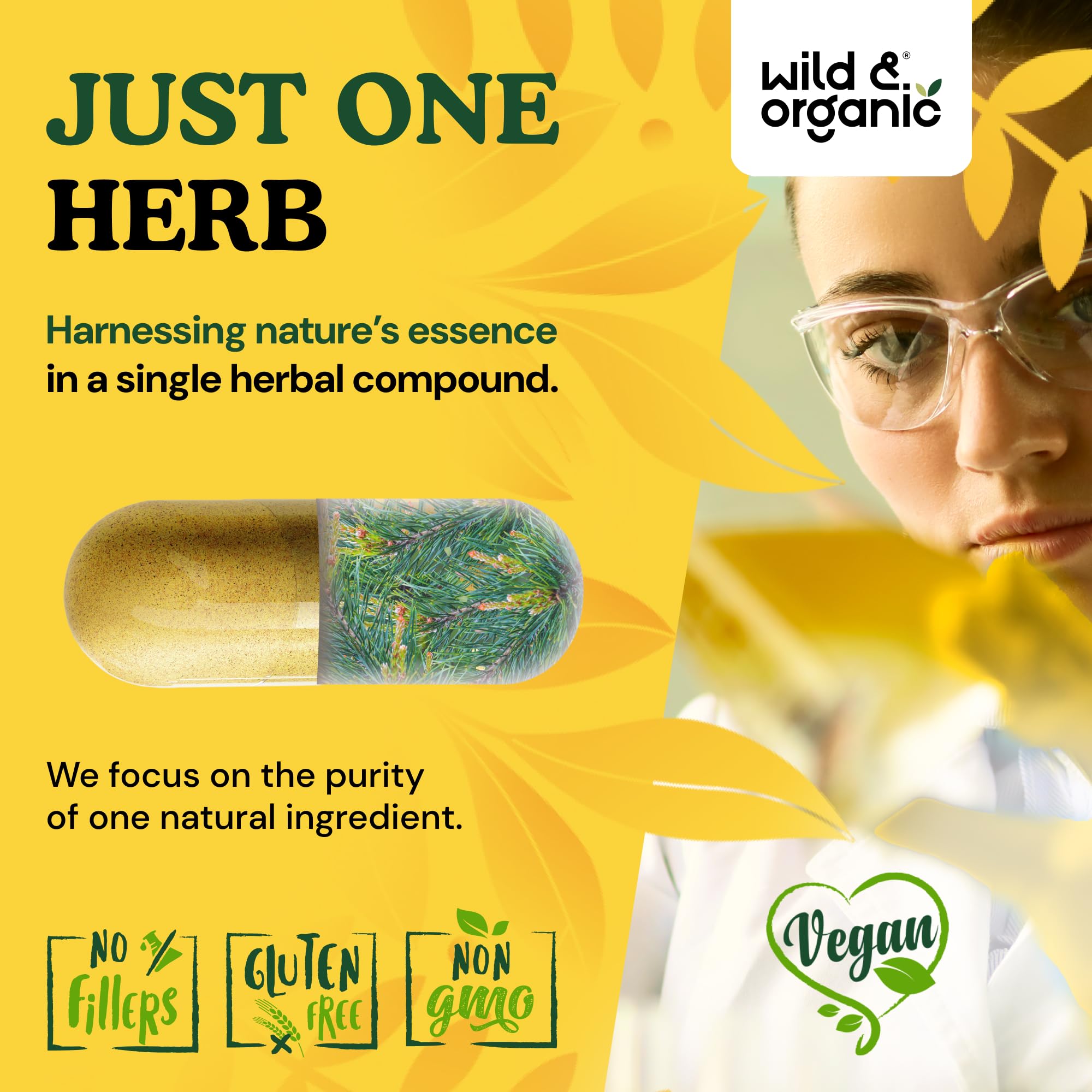 Wild & Organic Pine Pollen Capsules 1000mg bottle with background