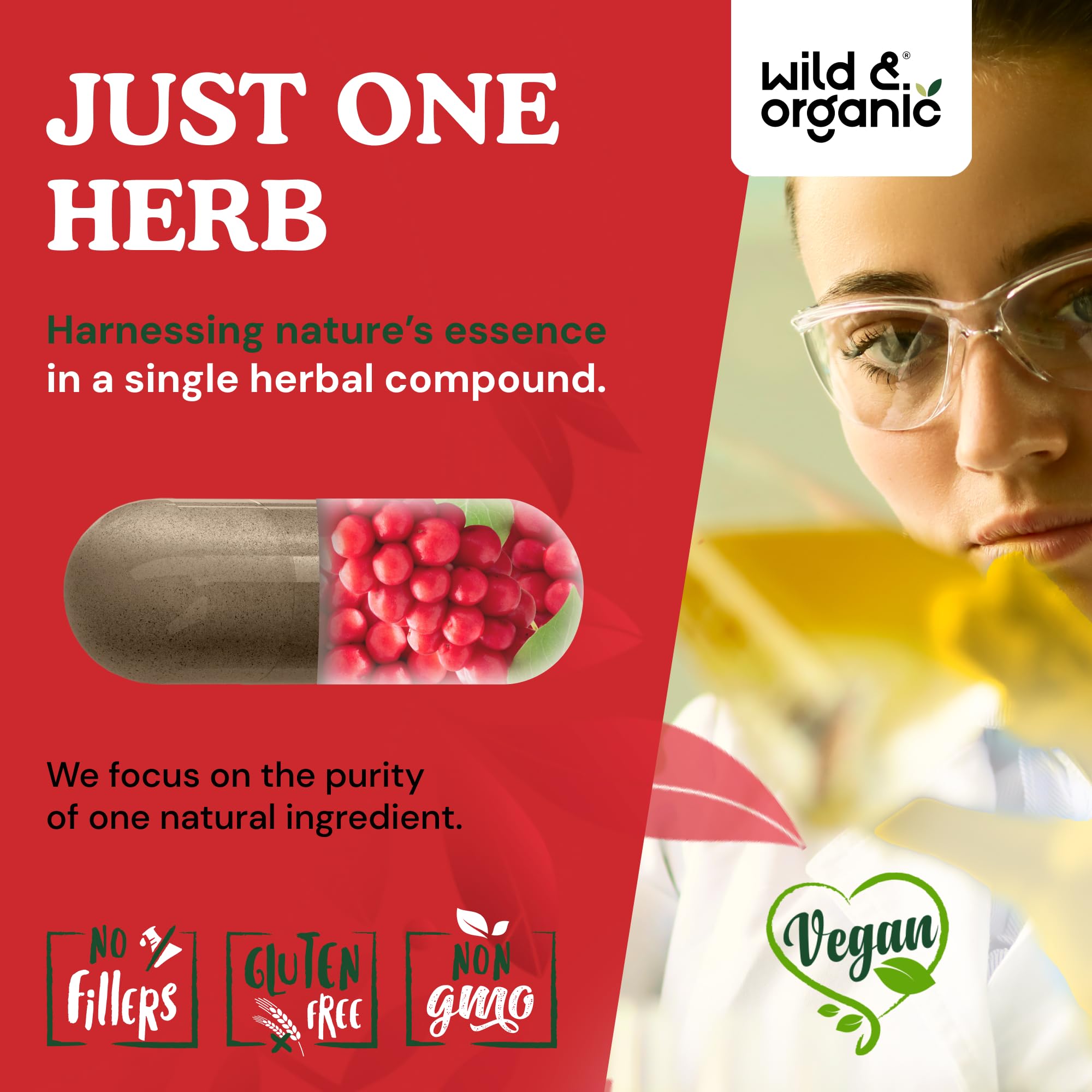 Wild & Organic Schisandra Capsules 1000 mg ingredients list