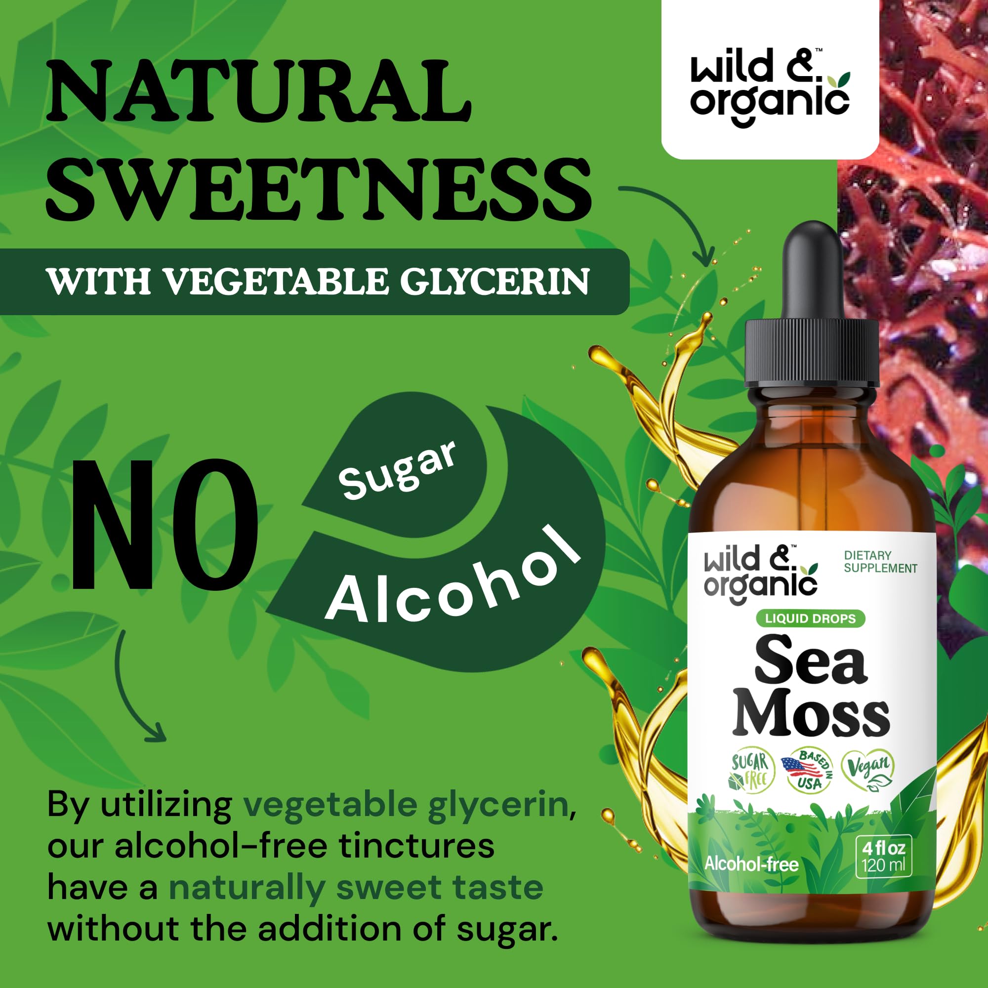 Wild & Organic Sea Moss Tincture 4 fl. oz. bottle next to a measuring spoon