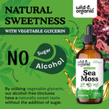 Wild & Organic Sea Moss Tincture 4 fl. oz. bottle next to a measuring spoon