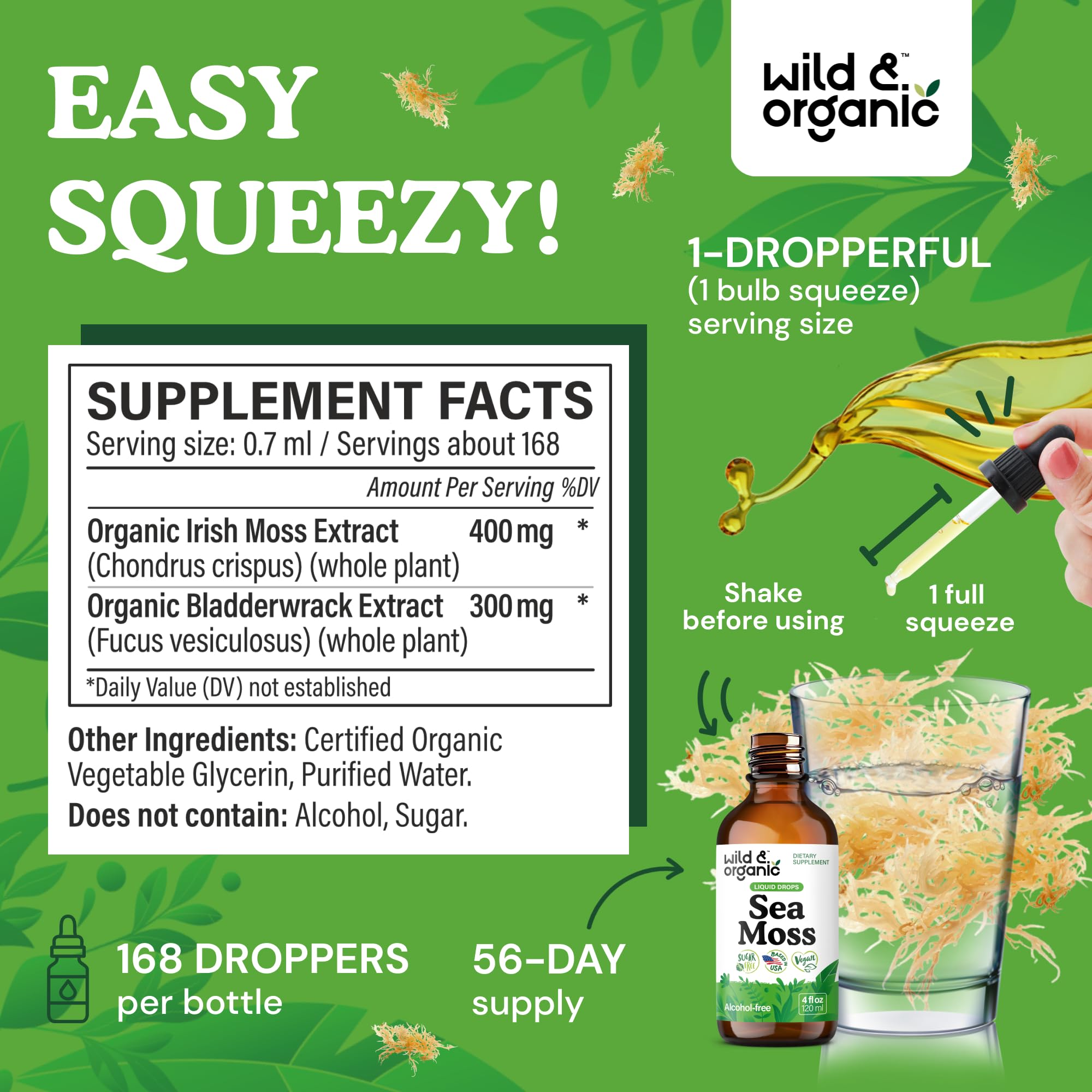 Wild & Organic Sea Moss Tincture dropper for easy dispensing
