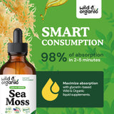 Wild & Organic Sea Moss Tincture ingredients list on the back