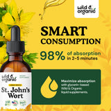 Wild & Organic St John's Wort Tincture 450mg with dropper