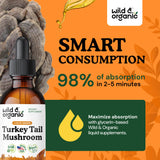 Wild & Organic Turkey Tail Mushroom Tincture with measuring spoon