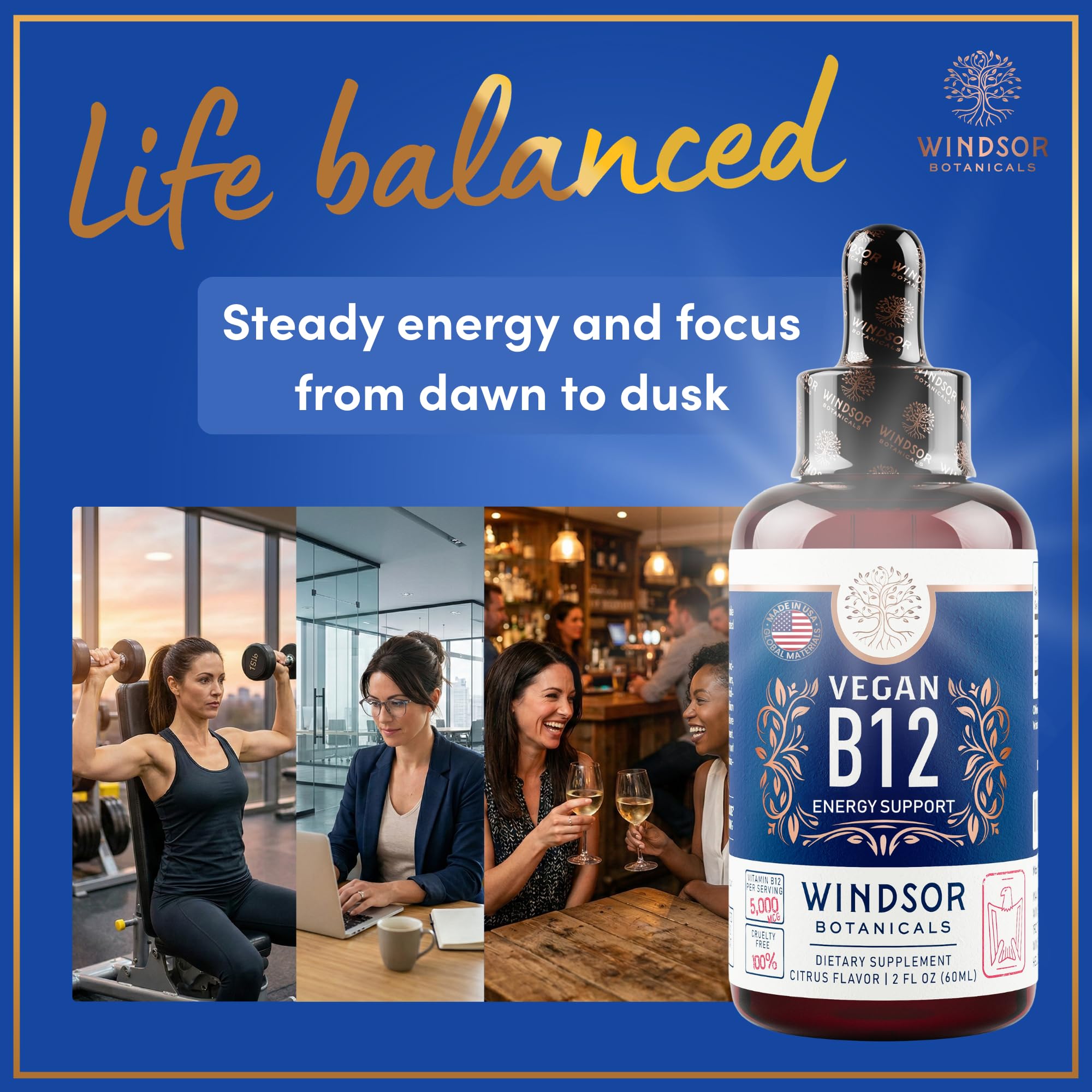 WINDSOR BOTANICALS B12 Sublingual Drops with dosage instructions