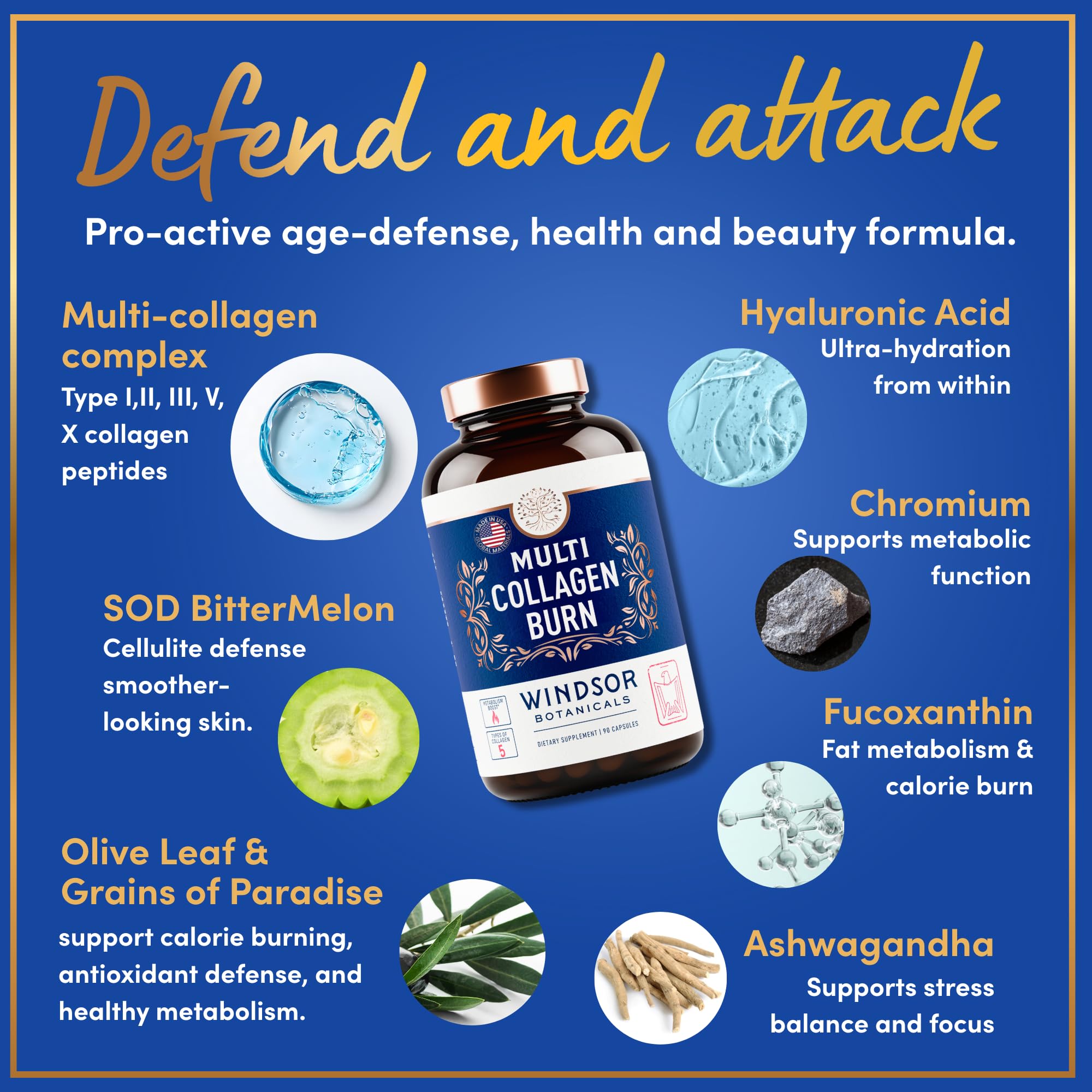 WINDSOR BOTANICALS Collagen Complex capsules in hand