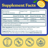 WINDSOR BOTANICALS Collagen Supplement 57g with dropper