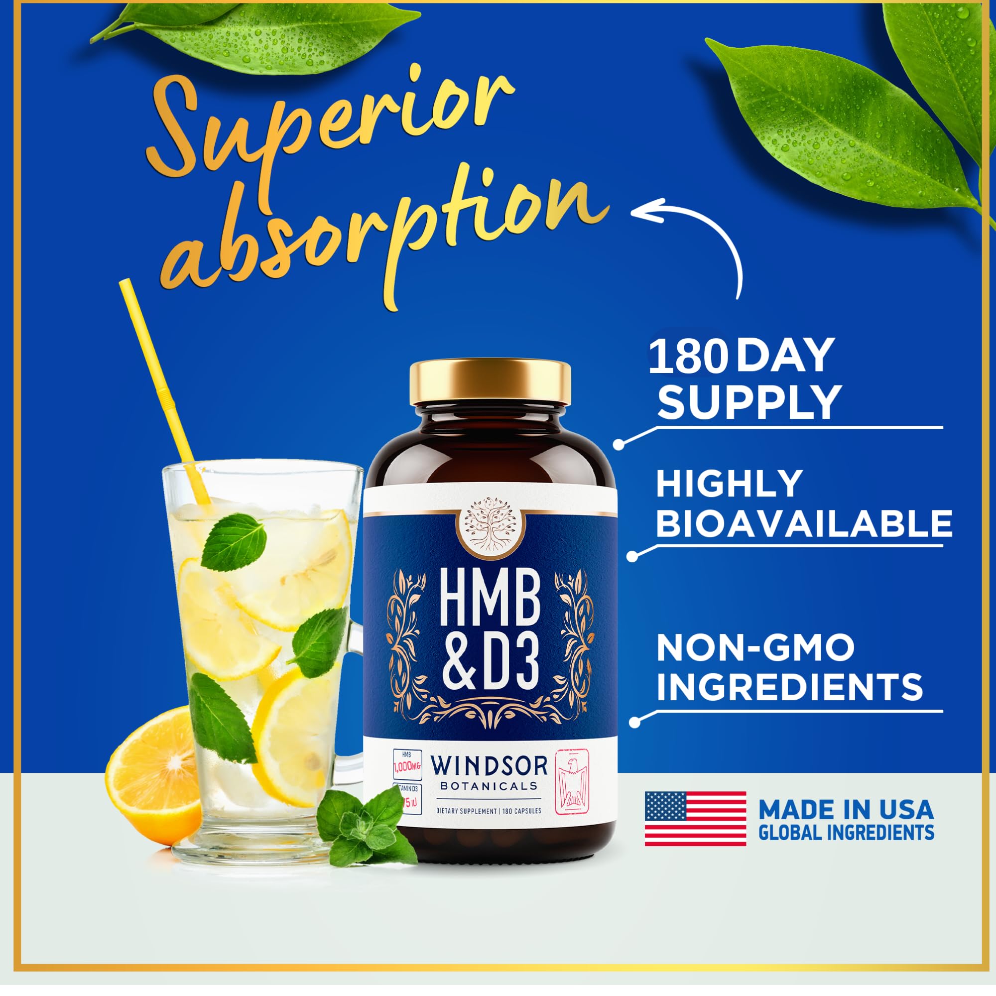 WINDSOR BOTANICALS HMB D3 Capsules open bottle with capsules