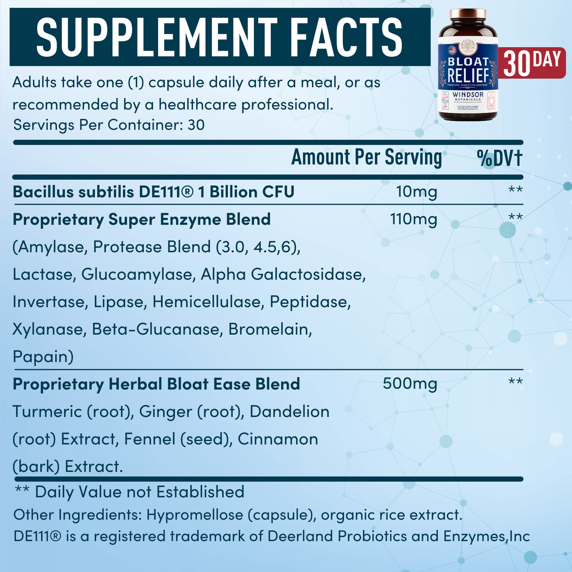 WINDSOR BOTANICALS Multi-Enzyme Supplement 41g back view