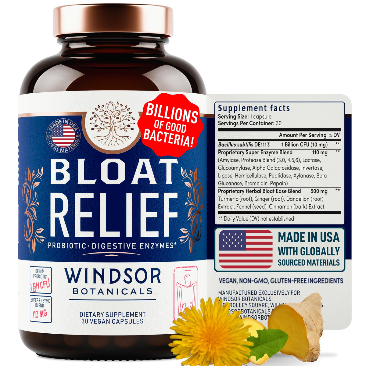 WINDSOR BOTANICALS Multi-Enzyme Supplement 41g front view