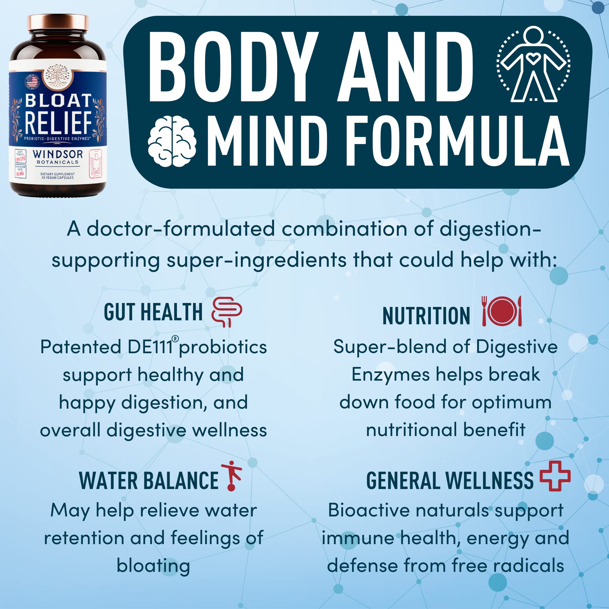 WINDSOR BOTANICALS Multi-Enzyme Supplement 41g ingredients list