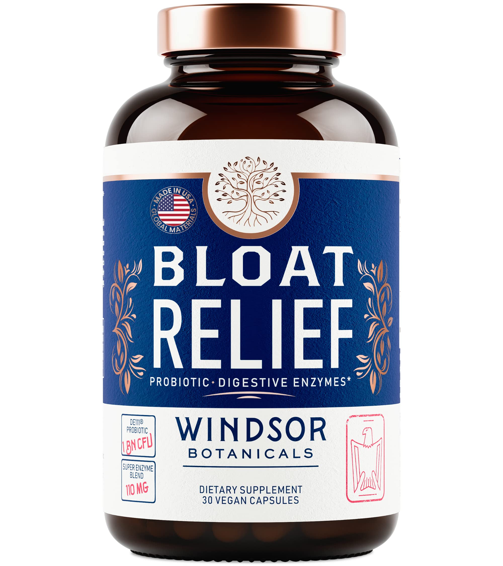 WINDSOR BOTANICALS Multi-Enzyme Supplement 41g product details