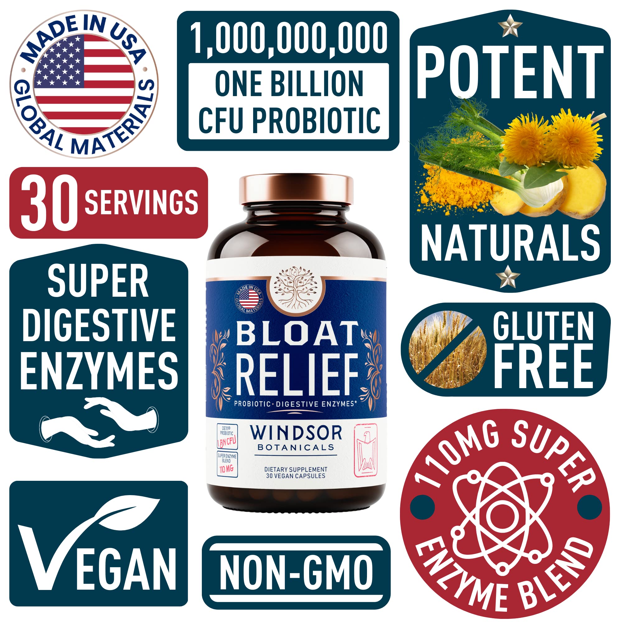 WINDSOR BOTANICALS Multi-Enzyme Supplement 41g side view