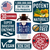 WINDSOR BOTANICALS Multi-Enzyme Supplement 41g side view