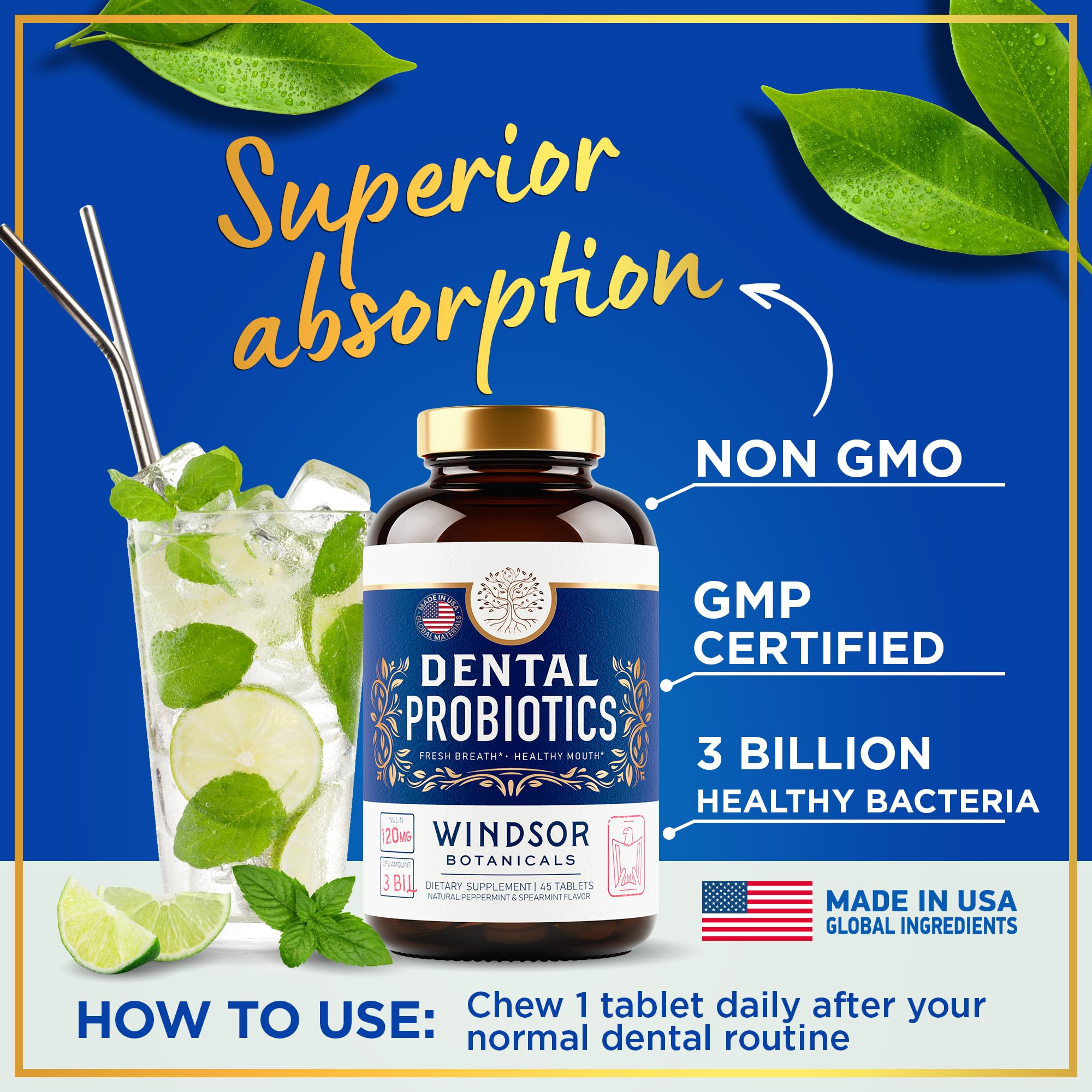 WINDSOR BOTANICALS Oral Probiotics chewable tablet in hand