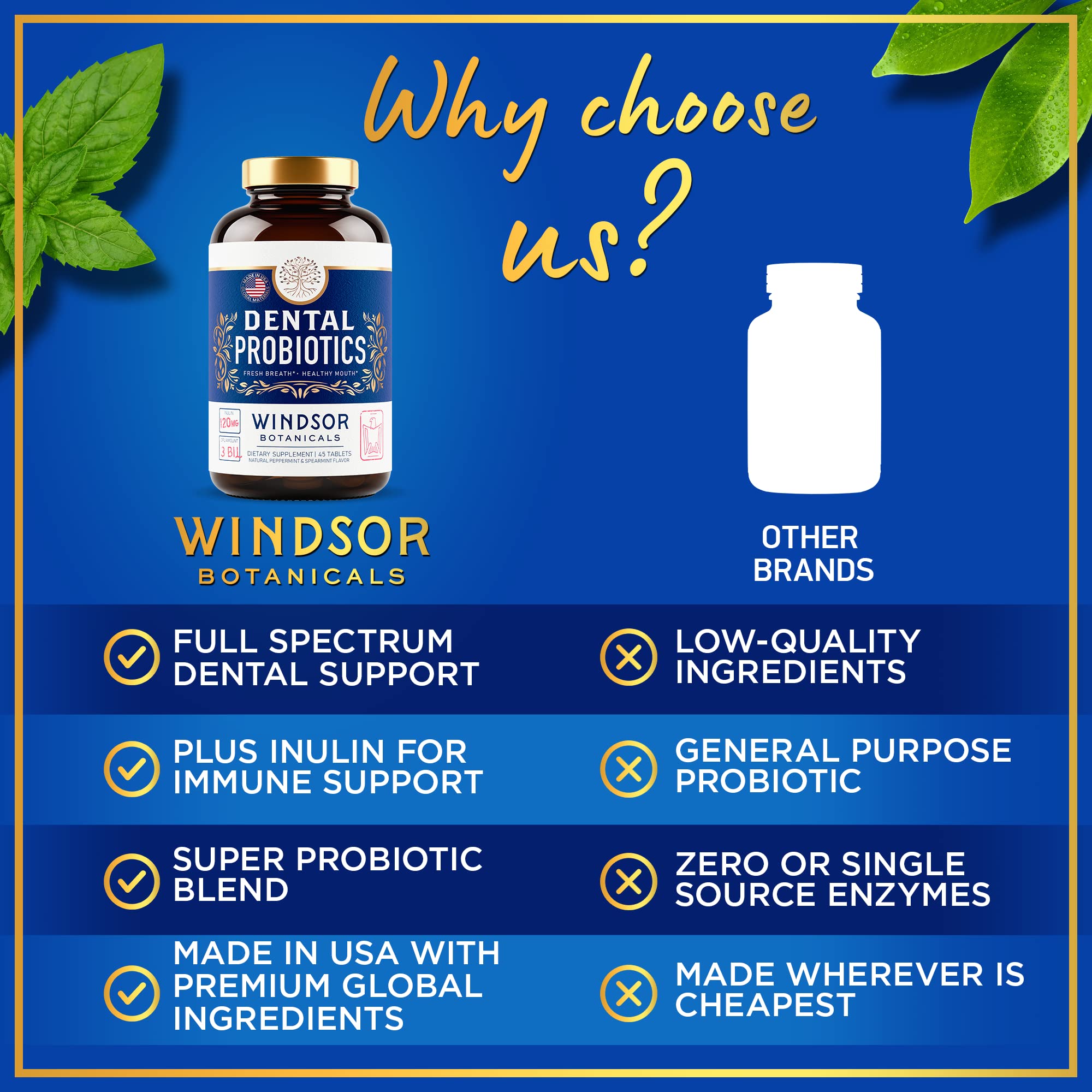 WINDSOR BOTANICALS Oral Probiotics on a wooden table