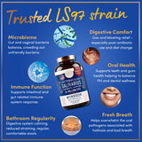 WINDSOR BOTANICALS Probiotic Capsules on a wooden table
