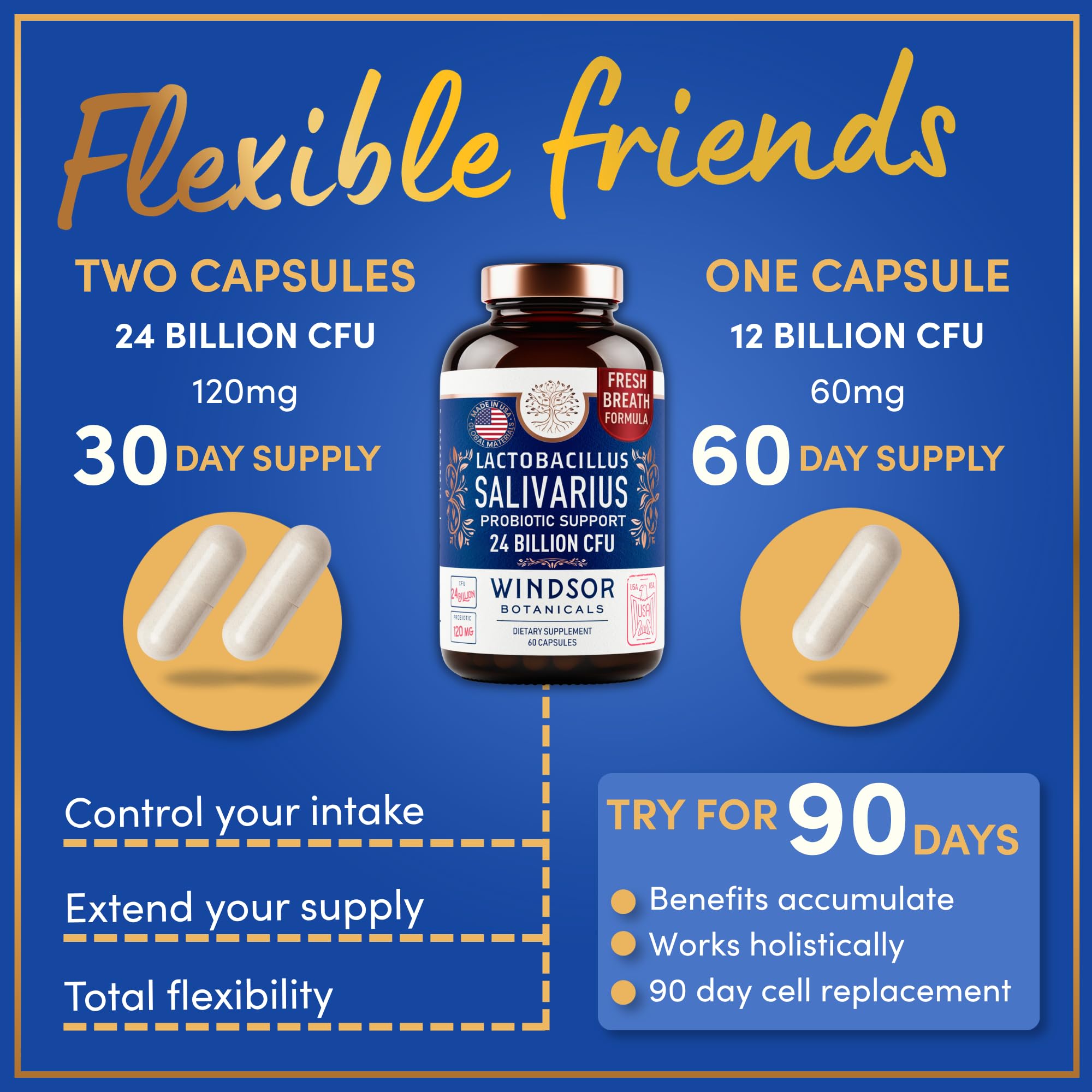 WINDSOR BOTANICALS Probiotic Capsules opened with a few capsules