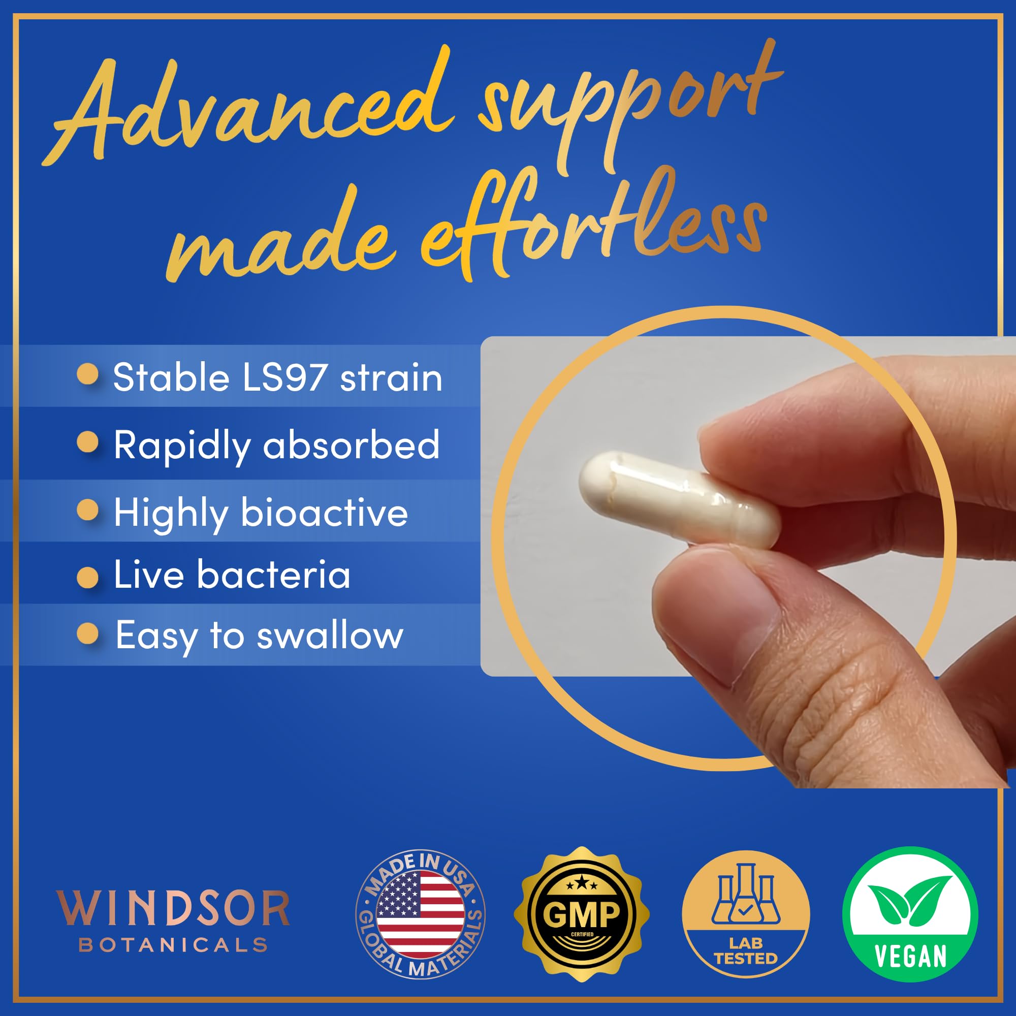 WINDSOR BOTANICALS Probiotic Capsules with measuring spoon