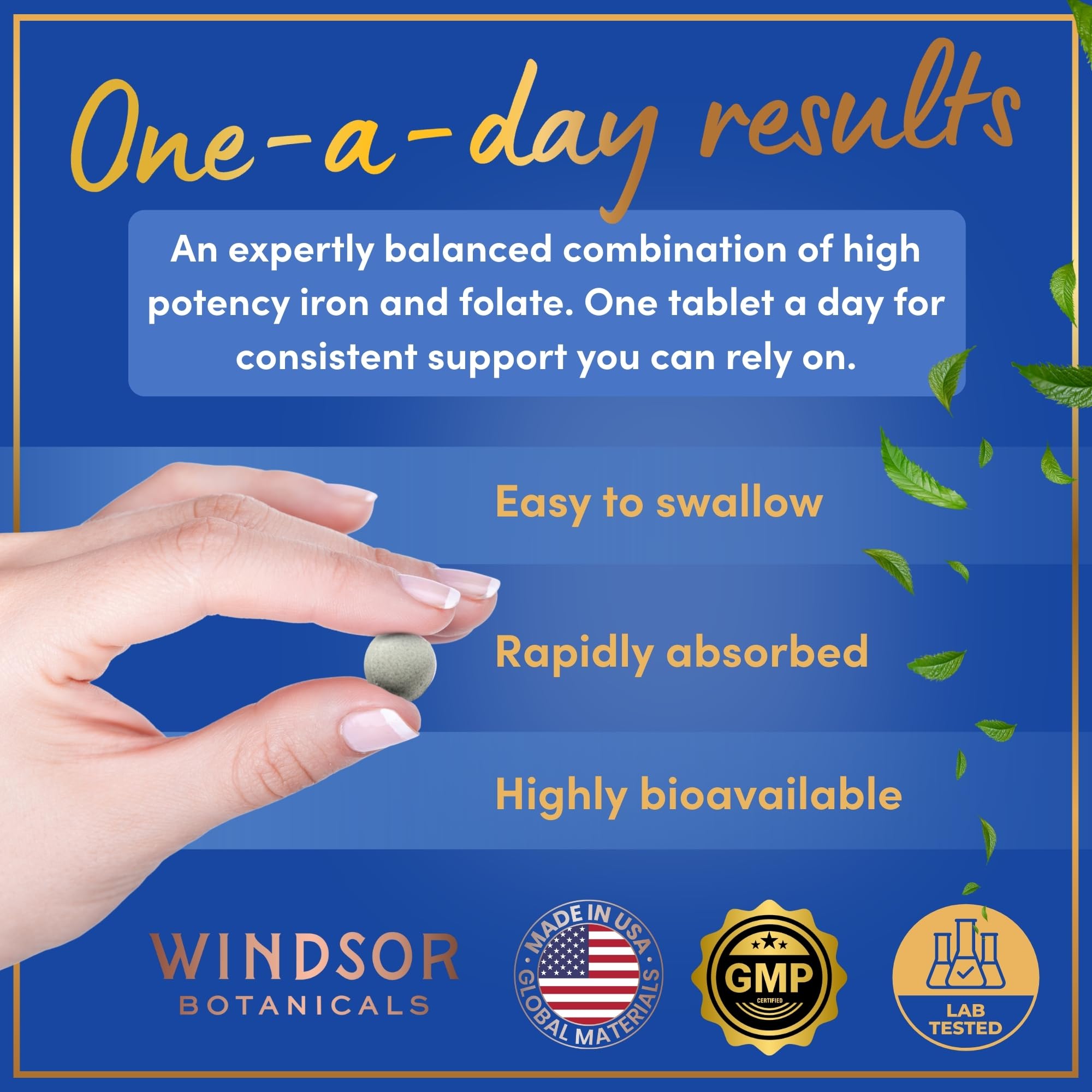 WINDSOR BOTANICALS Vegan Iron Supplement ingredients list